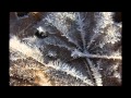 Tori Sparks - When I Said
