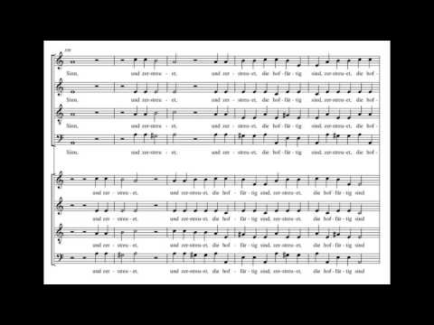 Schütz: Deutsches Magnificat - Herreweghe