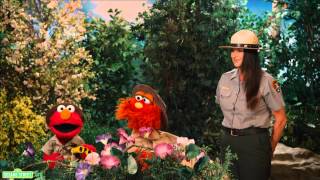 Sesame Street Explores National Parks: Grand Canyon National Park - Seasons