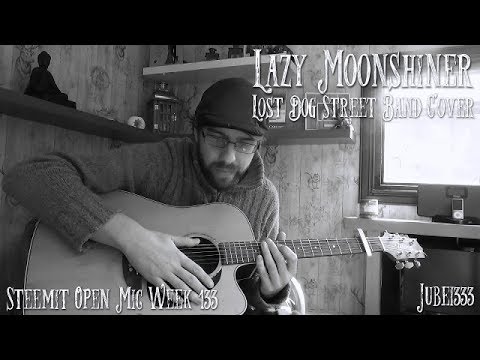 Lost dog street band, moonshiner