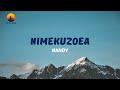 Nimekuzoea - Nandy(Official Video Lyrics)
