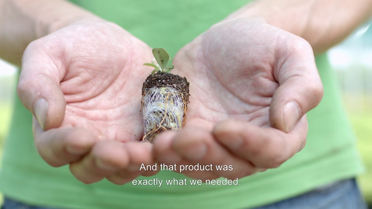 Rötjes Young Plants Grow The Biodegradable Growth And Seed Plug For Optimal Rötjes Young Plants Grow The