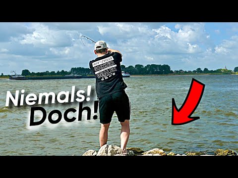 Zander angeln im Sommer. Das musst Du wissen.