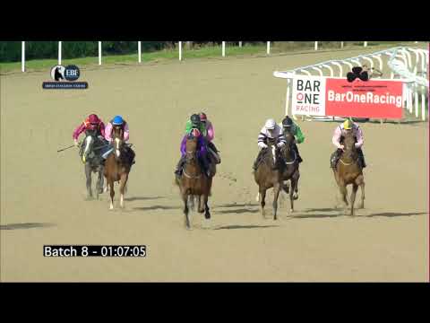 Irish EBF Barrier Trials 05 September 2023 - Batch 08