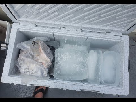 Review/Temp Check - Dometic Cool Ice 110L CI110 Icebox Esky