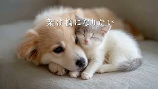 2025.09_YoutubeCM用動画_秋.mp4