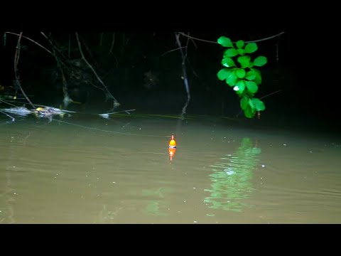 FLOAT FISHING FRESH SUMMER RUN STEELHEAD- Tiny Creek Bobber Down Action