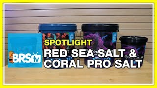 red sea coral pro salt bulk reef supply
