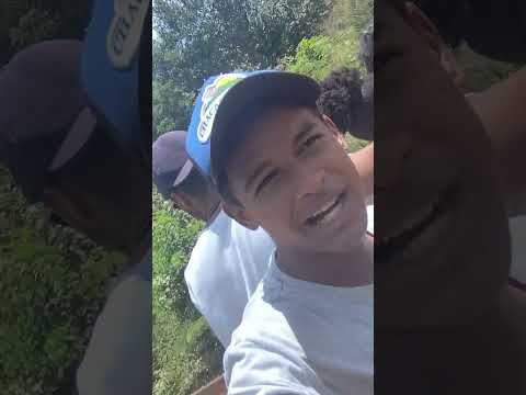 povoado Bacuri sucupira do Riachão Maranhão Brasil 🇧🇷