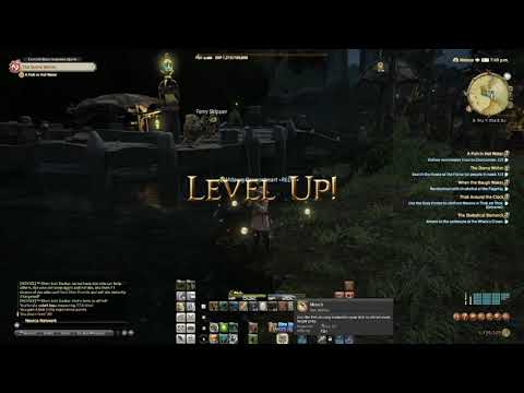 Final Fantasy 14 (FFXIV) Leveling Fishing Level 20 Job Quest