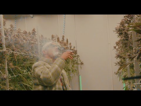 Nhale - Roll Up (Official Video)