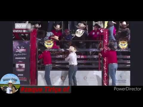 Algumas montarias cutiano paixao caipira cia TITO CARDOSO