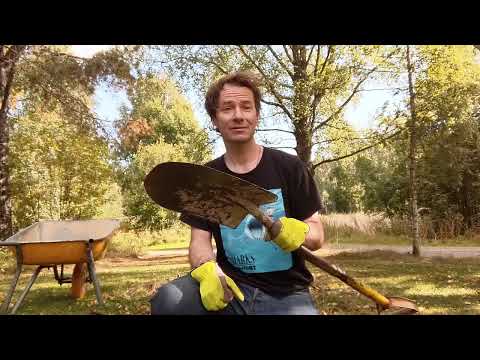 Removing Rosa Rugosa