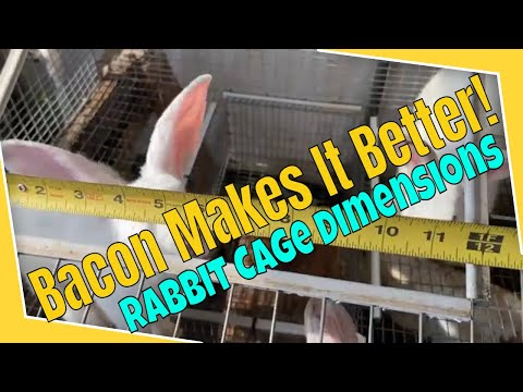 Bacon Makes it Better! Rabbit Cage Dimensions
