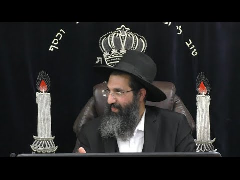 נפל למקווה - נטהר ❔ הרב שי עובד | שני - פרשת שמיני (פרה) - תשפב
