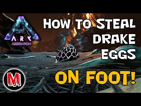 ARK : How to Steal Your First Rock Drake eggs On Foot