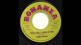 Lamar Morris - These Lonely Hands Of Mine