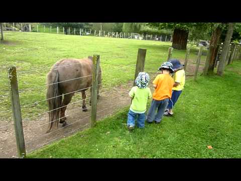 Na fazendinha com a vovo - 6 Janeiro 2012