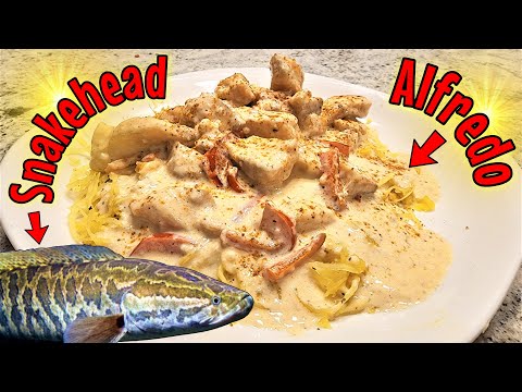 , title : 'Homemade Snakehead Alfredo w/ Spaghetti Squash Catch & Cook'