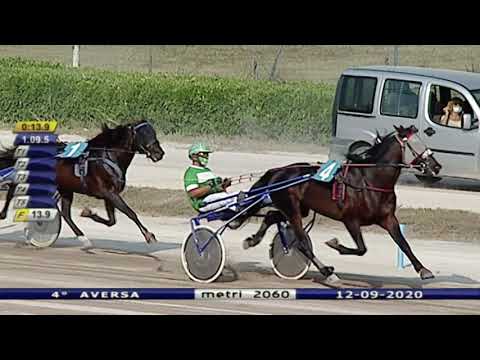 Aversa trotto 12 Settembre 2020 - 4° Corsa