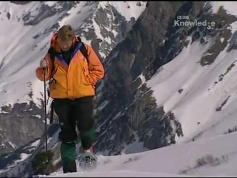 Ray Mears Extreme Survival S02E05 - Alps [LEKTOR PL]