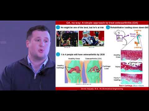 Derek Holyoak presents at Cornell's 2018 Three Minute Thesis Competition