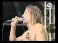 Iggy Pop - I Wanna Be Your Dog; Death In Certain (4 of 8)