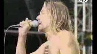 Iggy Pop - I Wanna Be Your Dog; Death In Certain (4 of 8)