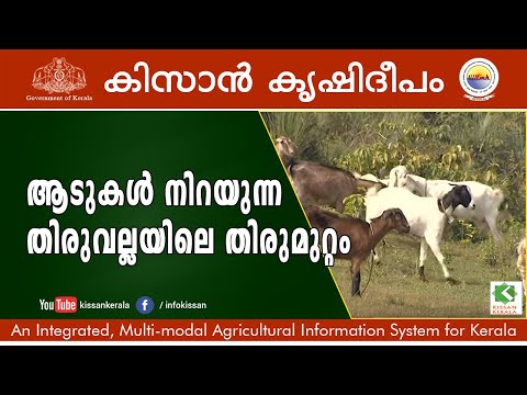 Documentary on a successfully managed goat rearing unit in Thiruvalla, Pathanamthitta district