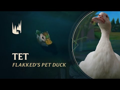 Flakked: The Story of his Duck | 2022 LEC Summer