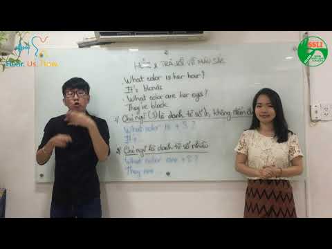 bai-03-hoi-va-tra-loi-ve-mau-sac-98