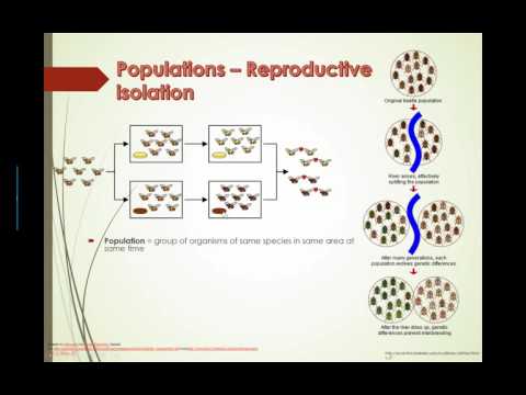 Reproductive Isolation (2016) IB Biology