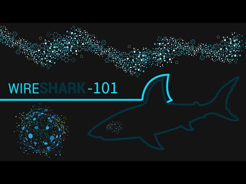 Wireshark 101: A Beginner's Guide to Network Traffic Analysis