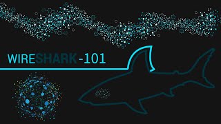 Wireshark 101: A Beginner's Guide to Network Traffic Analysis