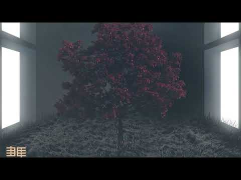 The Void Wanderer = ANGEL'S BASEMENT LP