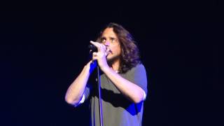 Temple of the Dog - Your Saviour – Live in San Francisco