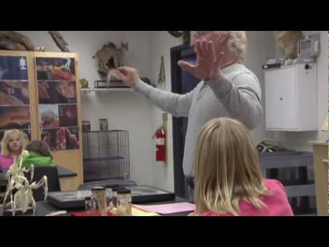 Biodiversity Boutique: Birds