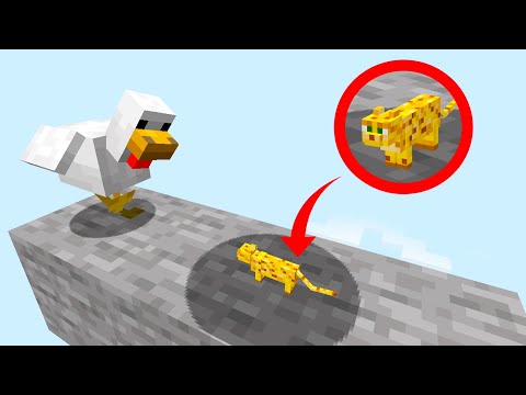 can a 1 pixel cat kill a chicken ?