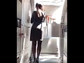 Flight Attendant Stewardess Aviation Airline Airplane Crew