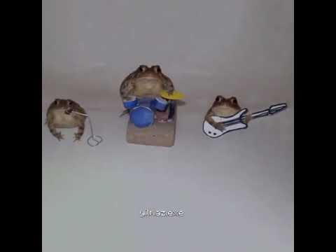 Thumbnail for Toad Band by Toad (band)