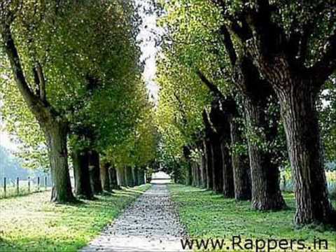 Tripple-G & Prime - Dieses Leben