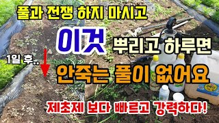 풀 힘들게 뽑지 말고 이것 뿌리고 하루면 풀 싹죽습니다 제초제보다 빠르고 강력합니다 천연제초제 만들어 뿌려보…