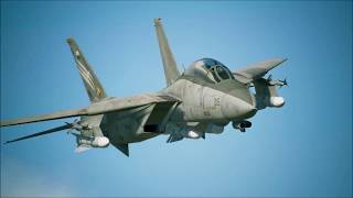 F-14　トムキャット：音声解説：エスコン７で世界の航空機