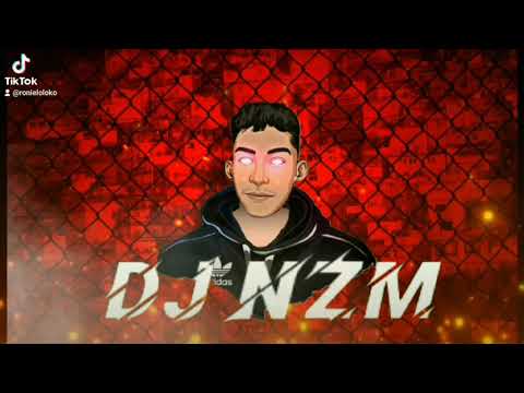 Nois É Malvadão Mesmo(bregadeira) DJ NZM
