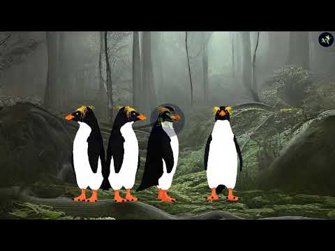4 Penguin - Animated Short Film || Animation Network
