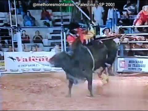 🇧🇷 Ednei Caminhas x Decreto - Rodeio de Palestina 2001 #rodeio #rodeo #pbr
