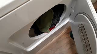 How to Fix Any Whirlpool Dryer That Won't Start — Easy Fix (2025)