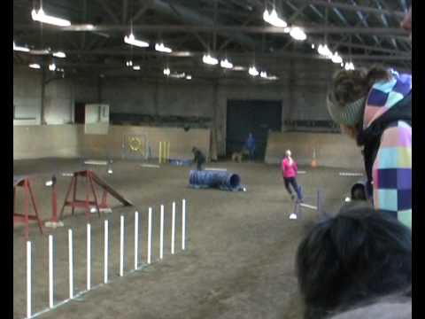 Combat visar upp sig på träningstävling i Nordmaling.wmv