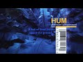 Hum - Afternoon With the Axolotls (Lyric Video)