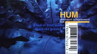 Hum - Afternoon With the Axolotls (Lyric Video)